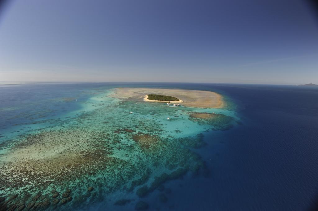 Green Island Reef Cruise, Great Barrier Reef Day Tours